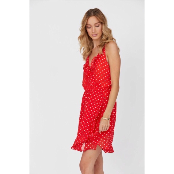 Haute Rogue Polka Dot Donna Dress - Picture 4 of 8